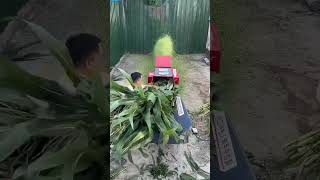 68 ton Grass cutter grasscutter haycutter chaffcutter grassmill grass forage haymill cow [upl. by Alleiram304]