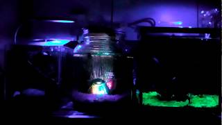 Nicrew multi colored LED fish tank aquarium bubbler [upl. by Thora]