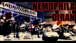 NEMOPHILA  OIRAN Official Live Video [upl. by Barde]