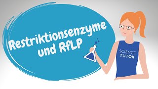 Restriktionsenzyme und RFLP Restriktionsfragmentlängenpolymorphismus [upl. by Gabrielle]