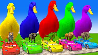 5 Giant Duck CartoonCowElephantGiraffeTigerLion Paint Wild Animals Crossing Fountain Animation [upl. by Fachanan422]