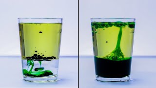 EASY SCIENCE EXPERIMENTS THAT WILL AMAZE KIDS [upl. by Asta930]