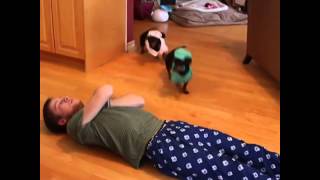 Funny Dachshund EMS Response  Choking Victim  Vine [upl. by Panchito192]