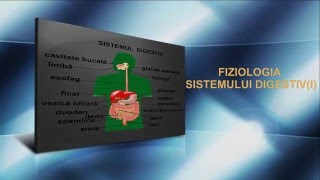 Lecția 23 Fiziologia sistemului digestiv I [upl. by Georgetta]