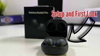 Samsung Galaxy Buds2 Pro  Setup And First Look [upl. by Aiekahs]