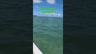 Boating towards Tavernier Key shorts youtube subscribe trending [upl. by Asirahc]