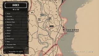 Red Dead Redemption 2 currant location [upl. by Langsdon]