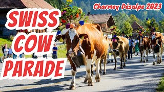 SWISS COW PARADE  POV experience at the 2023 Désalpe in Charmey Switzerland  Swiss Culture [upl. by Jew12]