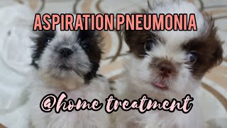 3 week old puppies w Aspiration Pneumonia  home treatment [upl. by Oniliuqnart414]