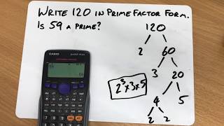 Basic Math Definition Prime Number Composite Number Coprime Number Odd Number Even Number [upl. by Mella940]