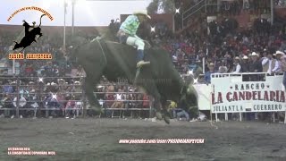 ¡MERECIDO RECONOCIMIENTO SOLDADO IMPERIAL vs ESPINITA RANCHO LA CANDELARIA DE FFF 2016 [upl. by Cleres866]