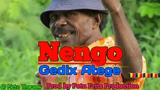 Nengo Remake  Gedix Atege Petu Fritz Pro [upl. by Susejedesoj]