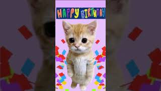 Standing cat singing Happy Birthday [upl. by Anitreb]