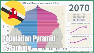 🇧🇳Brunei Darussalam Population Pyramid amp Ranking 19502100 wpp2024 [upl. by Zerat]