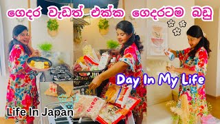 යාලුවන්ට හදපු රස කෑම ගොඩාක්💕  Life In Japan viralvideo groceryshopping srilanka trending vlog [upl. by Dew736]