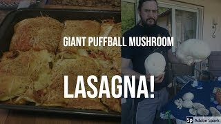 Giant Puffball Mushroom Lasagna Calvatia gigantea [upl. by Dixie]