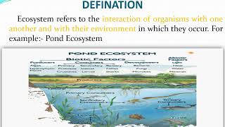 Ecosystem presentation  Ecology  Akibs Biology PPT [upl. by Eisak453]