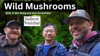 Wild Mushrooms with YiMin and Alan Rockefeller in Mushroom Wonderland [upl. by Quitt]