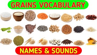 Grains Vocabulary  Learn Grains Seeds amp Cereals Name in English With Pictures [upl. by Yarg]