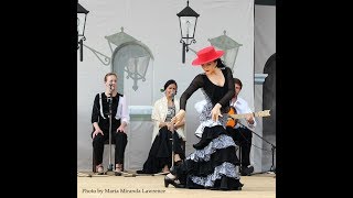 Garrotín Solo at the 2015 Victoria Flamenco Festival [upl. by Alasteir831]