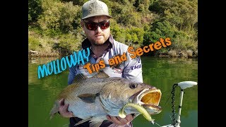 Mulloway Tips and Secrets  Beginners Guide to using Plastics Vol 1 [upl. by Eatnuhs499]