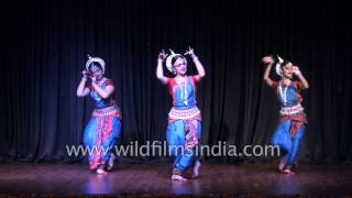 Indian classical dance  Odissi [upl. by Alderson581]