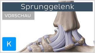 Sprunggelenk  Aufbau und Funktion Vorschau Â Kenhub [upl. by Akeim25]