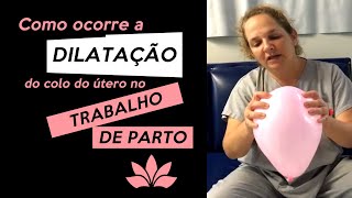 Como ocorre a dilatação do colo no trabalho de parto [upl. by Arymat911]