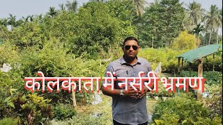 plant nursery visit Muchisa kolkata west Bengal 9131248428 [upl. by Novahs]