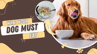 What To Feed A Dog With Bladder Stones [upl. by Anneh478]