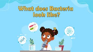 What does Bacteria look like  What is bacteria for kids  Bacteria facts for kids  Bacteria Cell [upl. by Tlok]