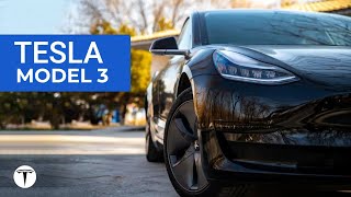 Tesla Model 3  EVDRIVE [upl. by Shyamal358]