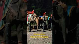 Fantasea Show  Palace of the Elephants shorts phuket phuketfantasea travel thailand [upl. by Hillier]