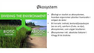 Naturfag  Økologi økosystemer og bærekraftig utvikling [upl. by Siramad674]