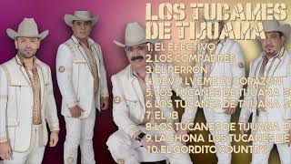 Los Tucanes de TijuanaAnnual hits collection for 2024Bestselling Tracks PlaylistSeductive [upl. by Zebaj]