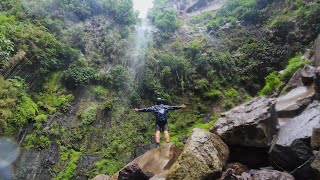 Looking For a 1000 Year Old Tree  Boquete Panama [upl. by Ailongam]