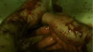 INHUMAN 2013 TRAILER [upl. by Flagler]