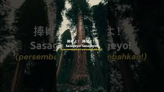 Sasageyo sasageyo aot anime tree viral trending popular [upl. by Reena]