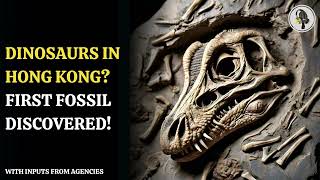 Dinosaurs In Hong Kong First Fossil Discovered  WION Podcast [upl. by Crispa]