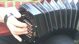 monkey island scumm bar theme on crane concertina [upl. by Latricia]