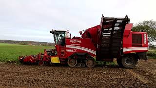 Grimme Maxtron 620 beim Zuckerrüben roden [upl. by Pelagia924]