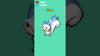 Shiny Stories  The Little Pachirisu That Could jaeaik pachirisu pokemon shinypokemon [upl. by Neivad859]