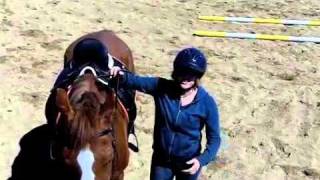 How to dismount a horse [upl. by Treat]