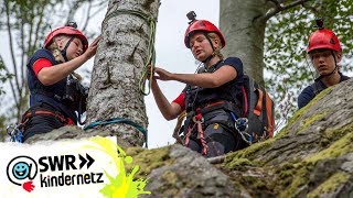 Erste Hilfe am Berg  Bergwacht und THW 3  Alarm  die jungen Retter 2019  SWR Plus [upl. by Angelia7]