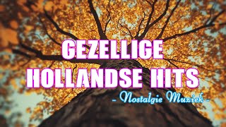 Populaire Muziek 🍃 Gezellige Hollandse Hits 🍃 Nostalgie Nederlandse Muziek [upl. by Scevo]