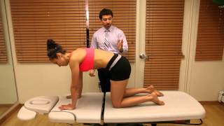 Clinician Education How To Teach Multifidus Progressions  Progression 1 [upl. by Sheeran491]