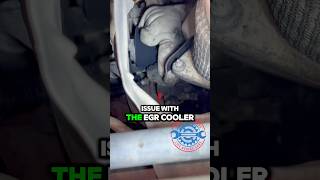 Dealing with Vauxhall Vivaro EGR cooler troubles 🚐🔧 VanLife CarCare EGRcooler Mechanic [upl. by Hoang]