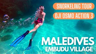 Maledives  Embudu Village  Snorkeling Tour [upl. by Glen]