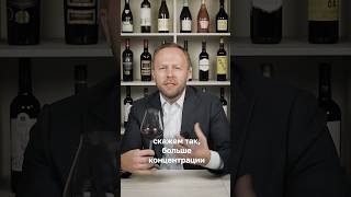 Дегустируем итальянское вино Othonis Negroamaro Salento IGT wine sommelier [upl. by Sergio]