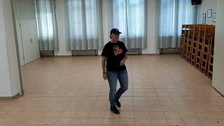 Grundy Galopp Lernvideo Teach amp Dance Line Dance Biene Teil 1 [upl. by Ednarb507]